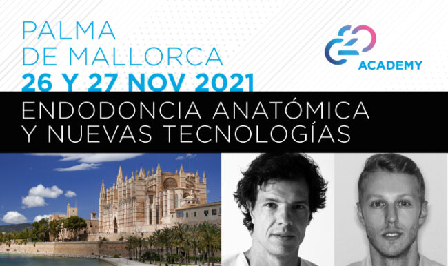 Curso de Endodoncia Anatómica en Palma de Mallorca curso-endodoncia-anatomica-en-mallorca